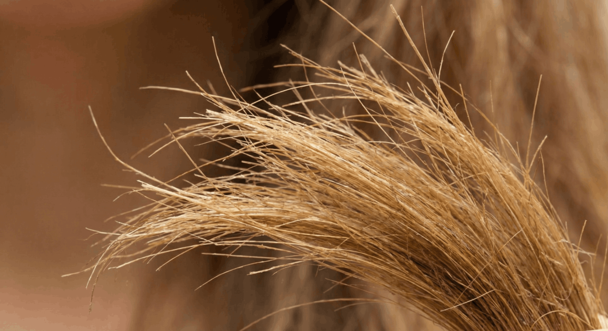 your-hair-is-damaged-and-feels-like-straw